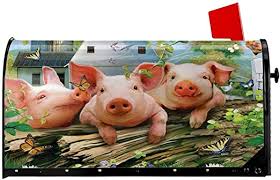 cassetta_postale