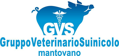 gvs_logo