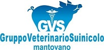 logo_gvs
